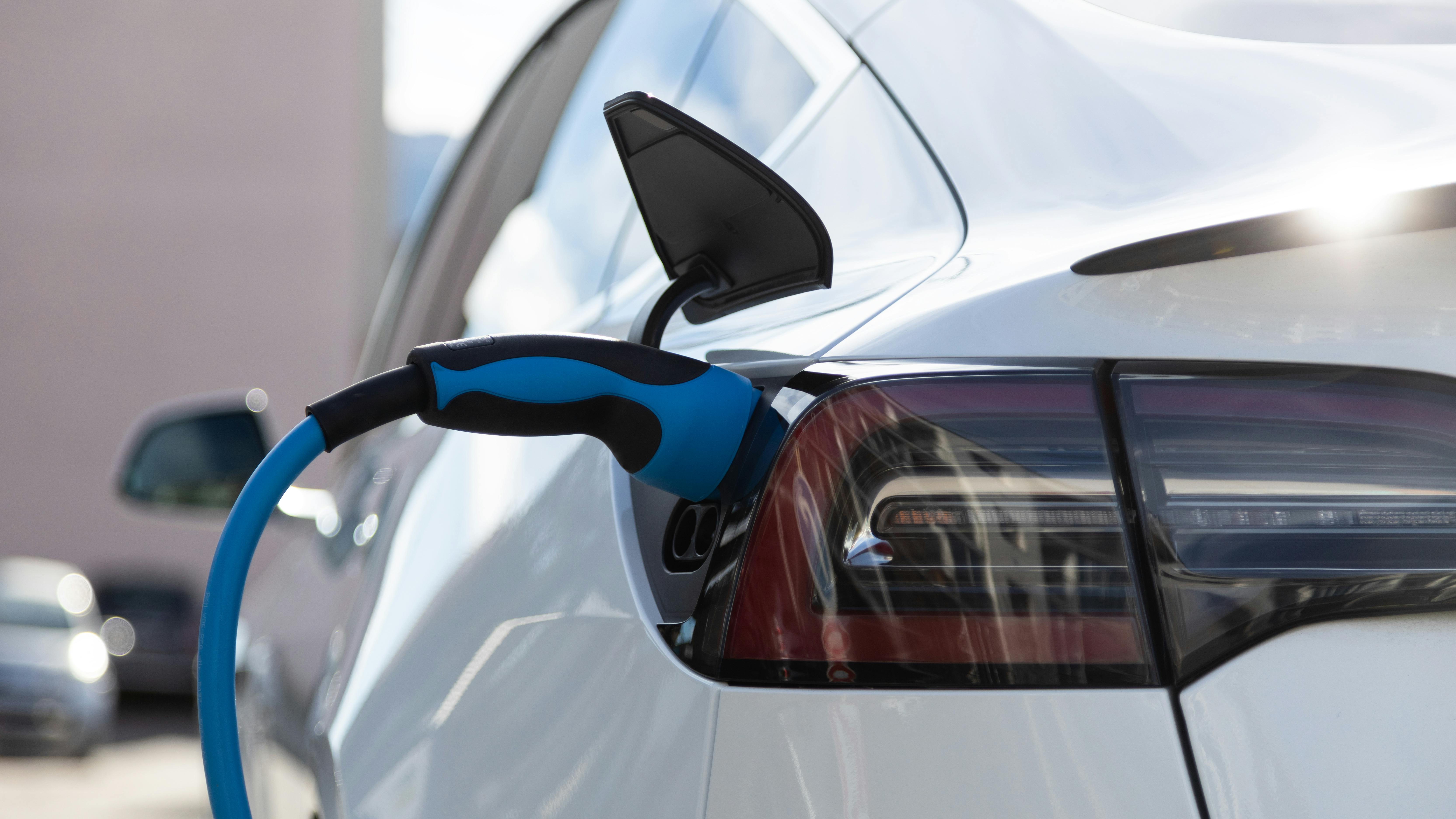 663e2d4209696a2239159459 Dreamstime Xxl 173996421