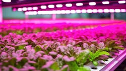 664679786e9ee917af81d060 Dreamstime Xxl 297937426 664679786e9ee917af81d060 Dreamstime Xxl 297937426