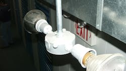 664f5f99e358107c3c479b60 Illustrated Catastrophe 1 664f5f99e358107c3c479b60 Illustrated Catastrophe 1