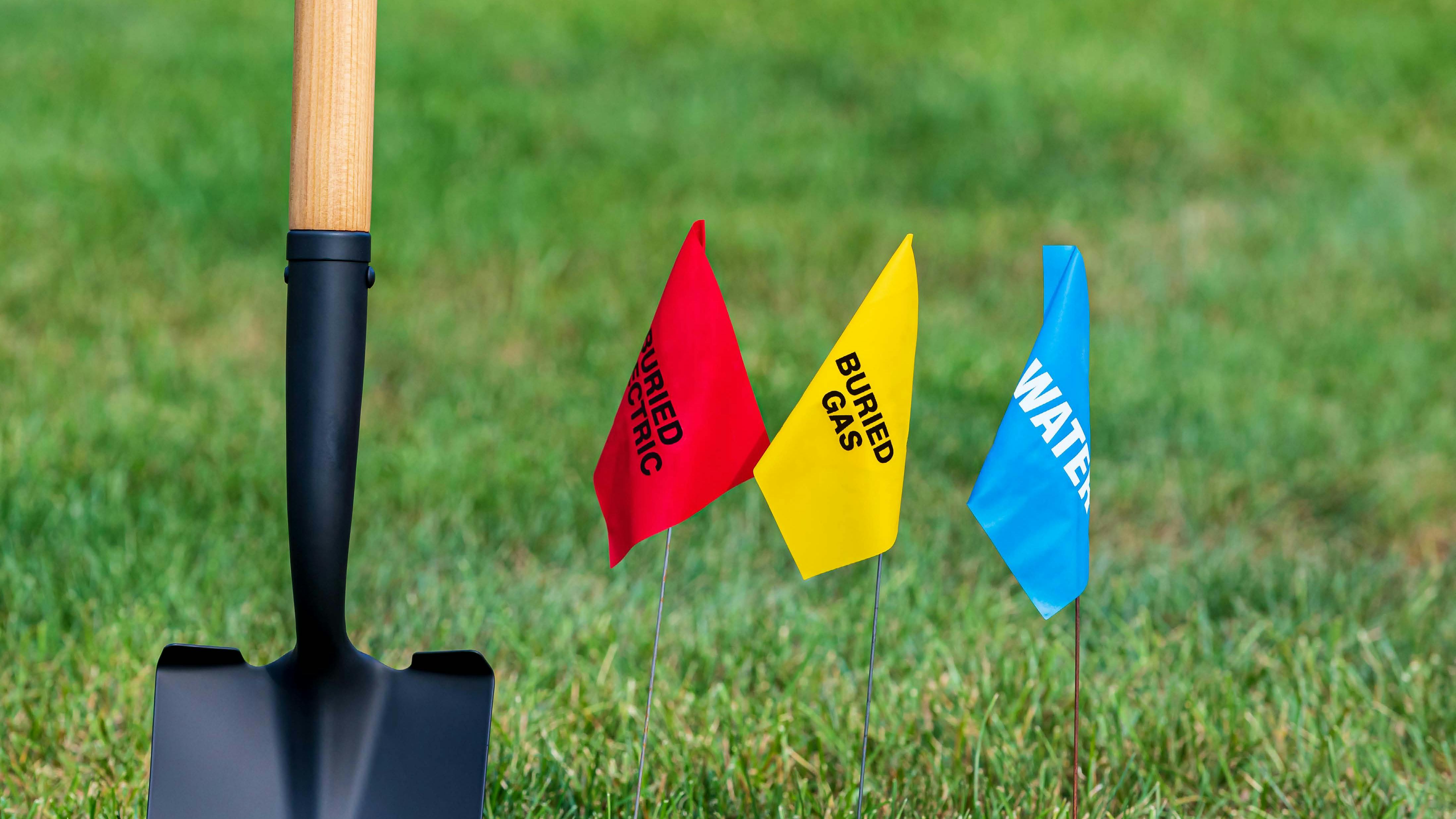 6655e38897853254c7cde6fe Hero