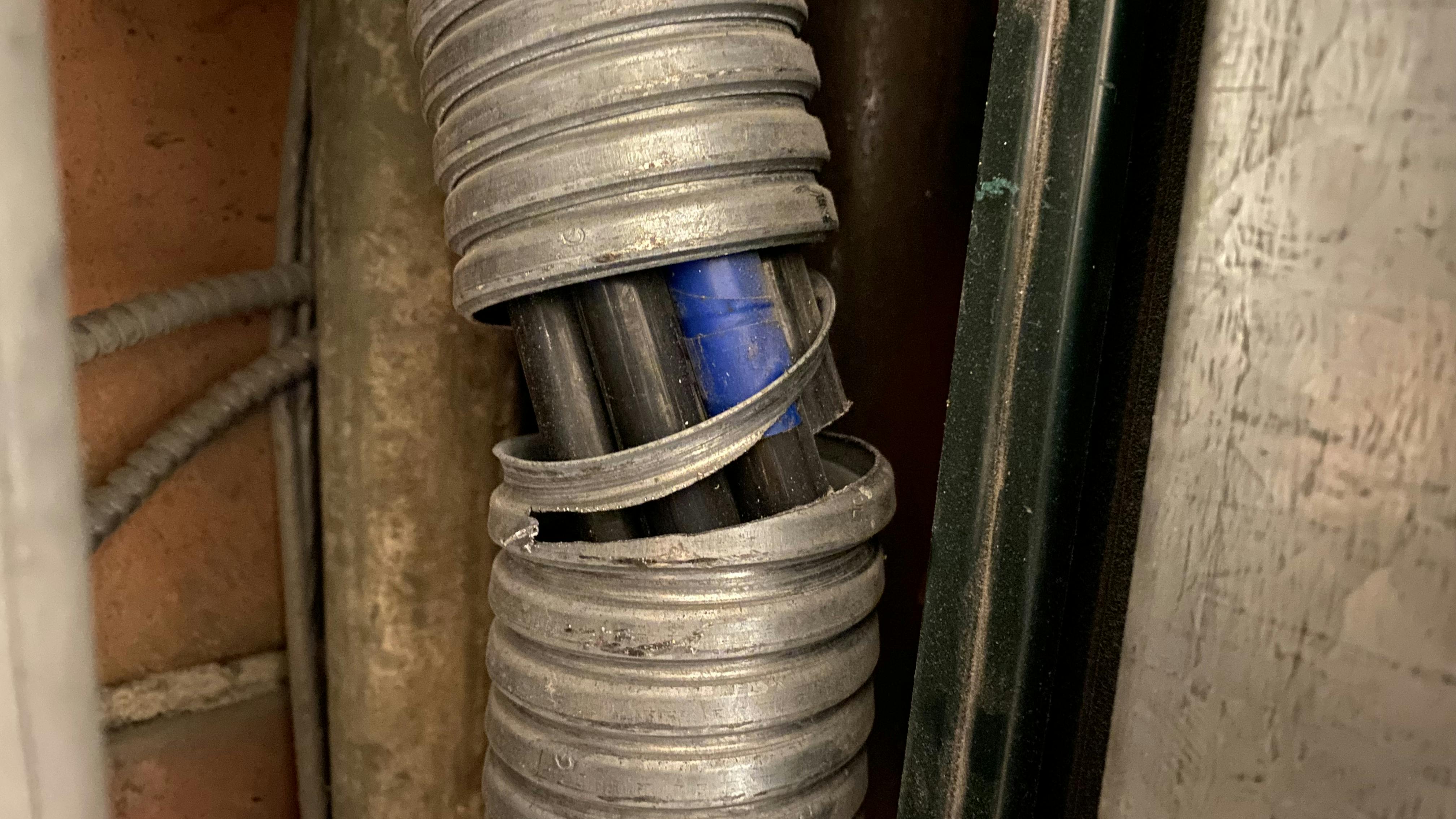 illustrated catastrophe