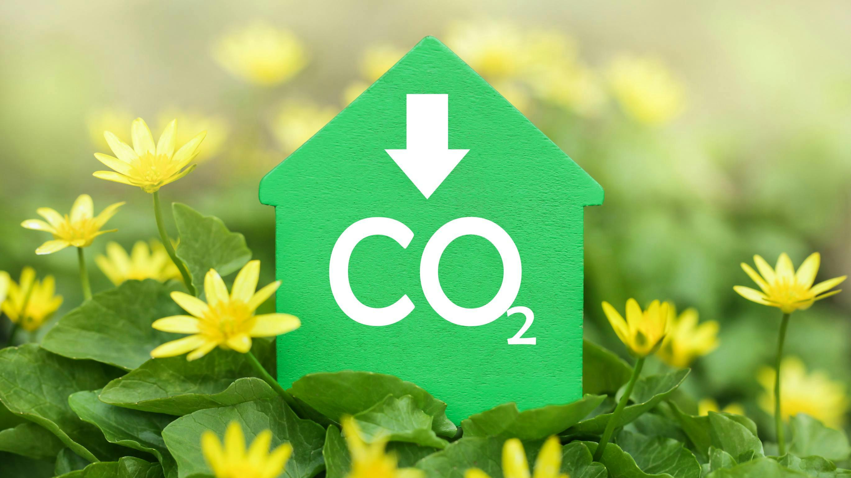 66a3d8feda5fcbae08fff8df Dreamstime L 248077645