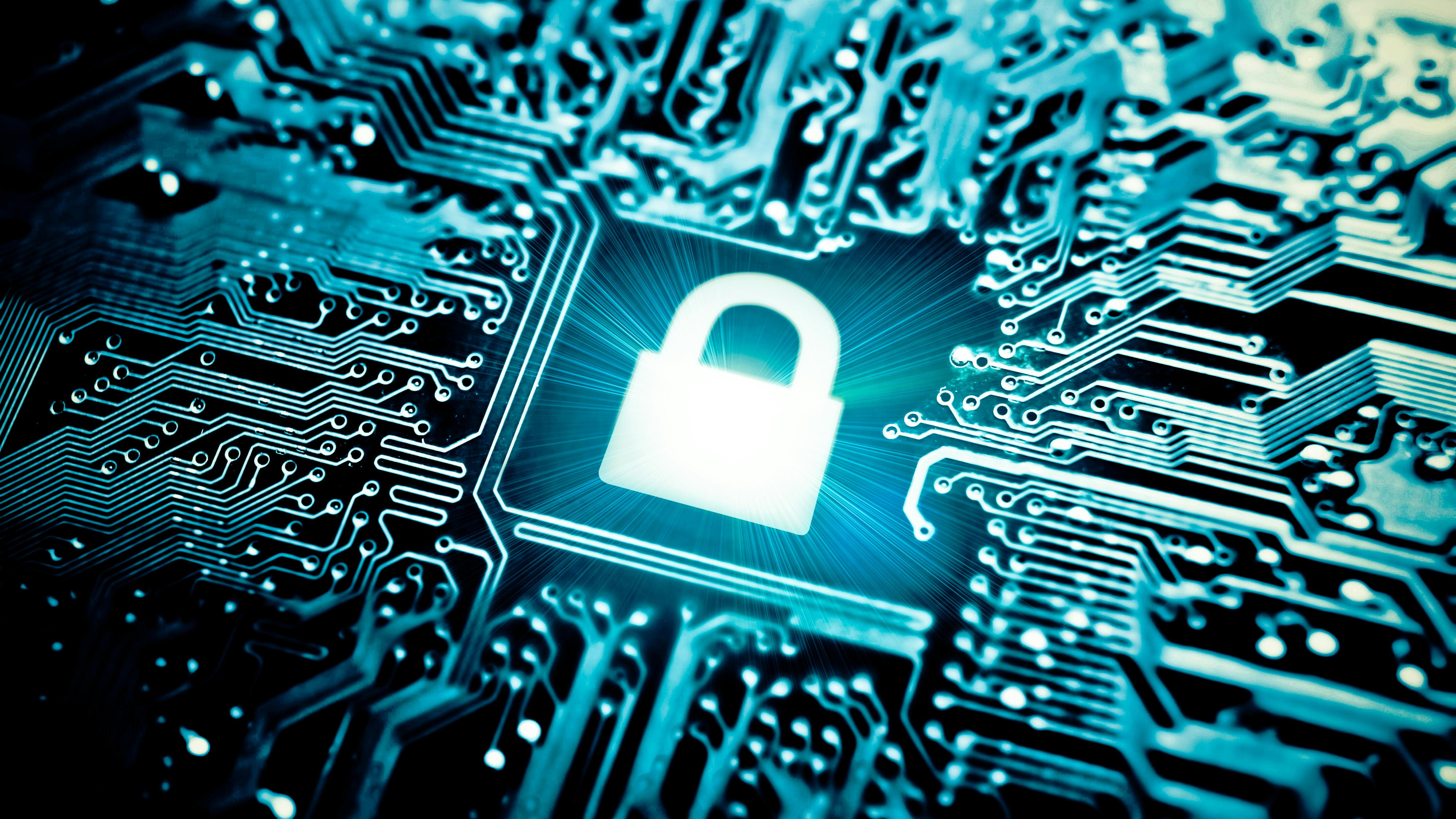 66aced3dbc0766231473f979 Dreamstime Xxl 41526685