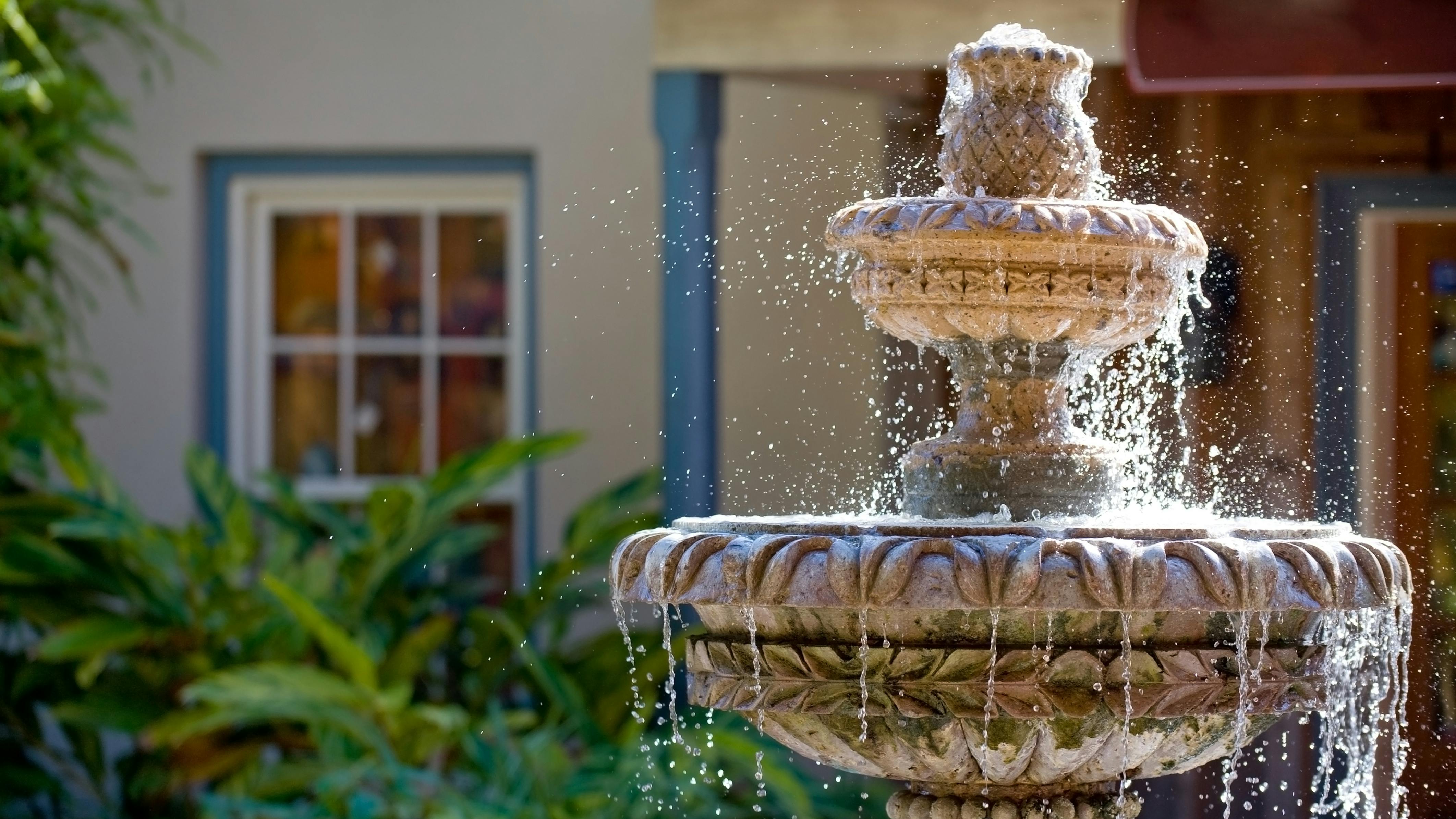 66ba29e297da73415024e158 Dreamstime Xxl 7933648