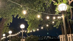 img_7419_2 img_7419_2