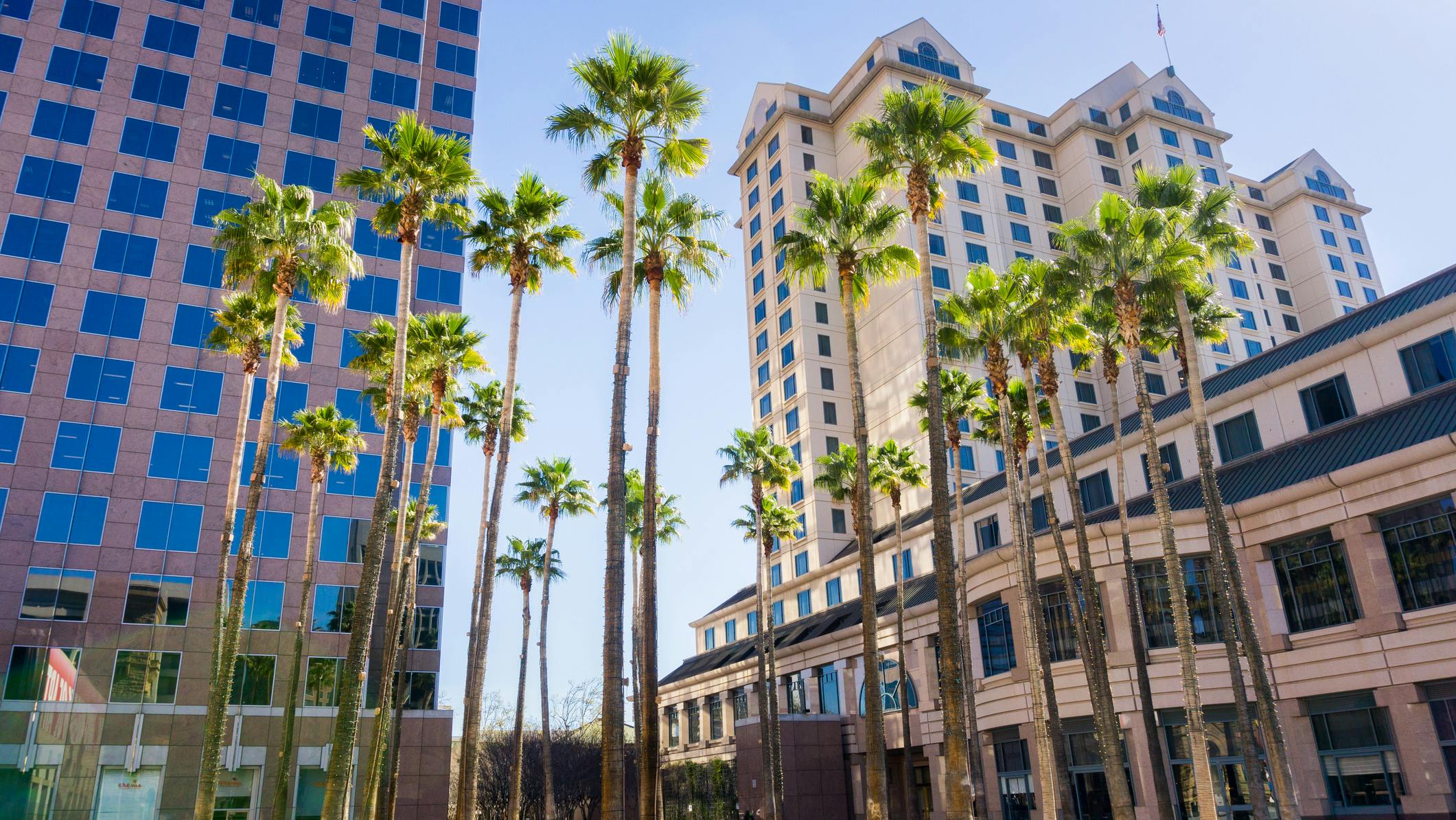 66edc0b00cb83b1892162883 Dreamstime M 102882471