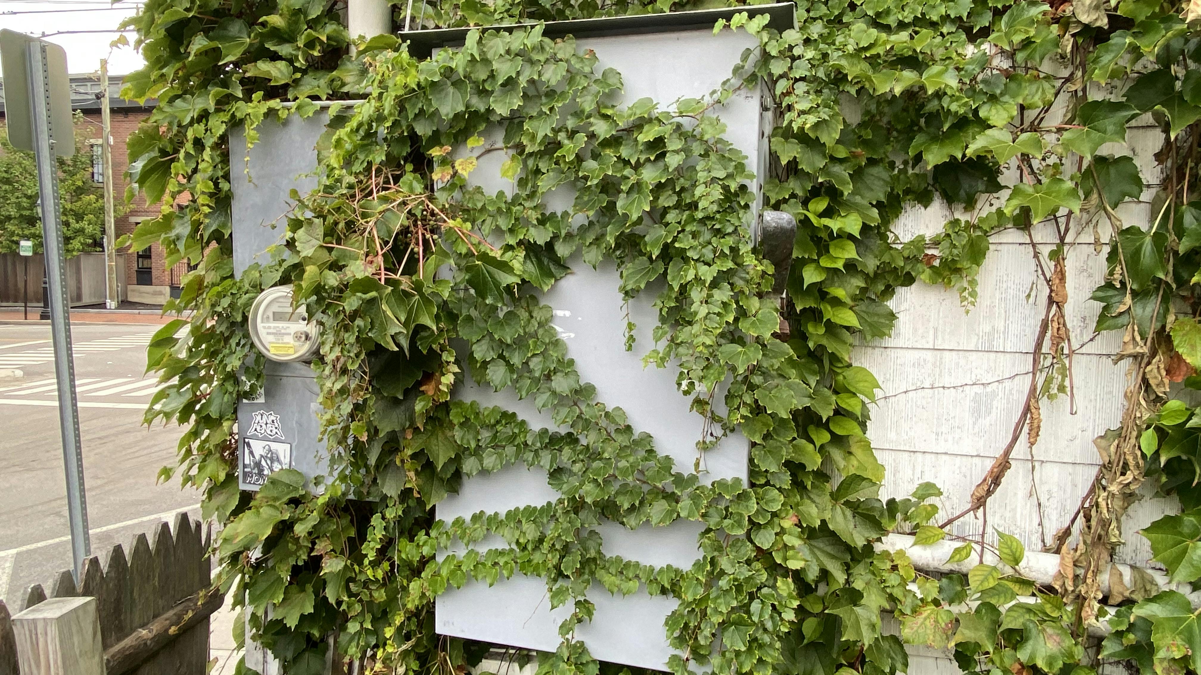 66fec152b907b96f256ce3b0 Illustrated Catastrophe 2