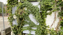 66fec152b907b96f256ce3b0 Illustrated Catastrophe 2 66fec152b907b96f256ce3b0 Illustrated Catastrophe 2