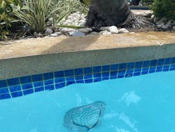 illustrated_catastrophe_1 illustrated_catastrophe_1