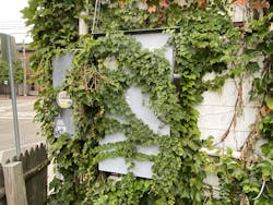 illustrated_catastrophe_2 illustrated_catastrophe_2