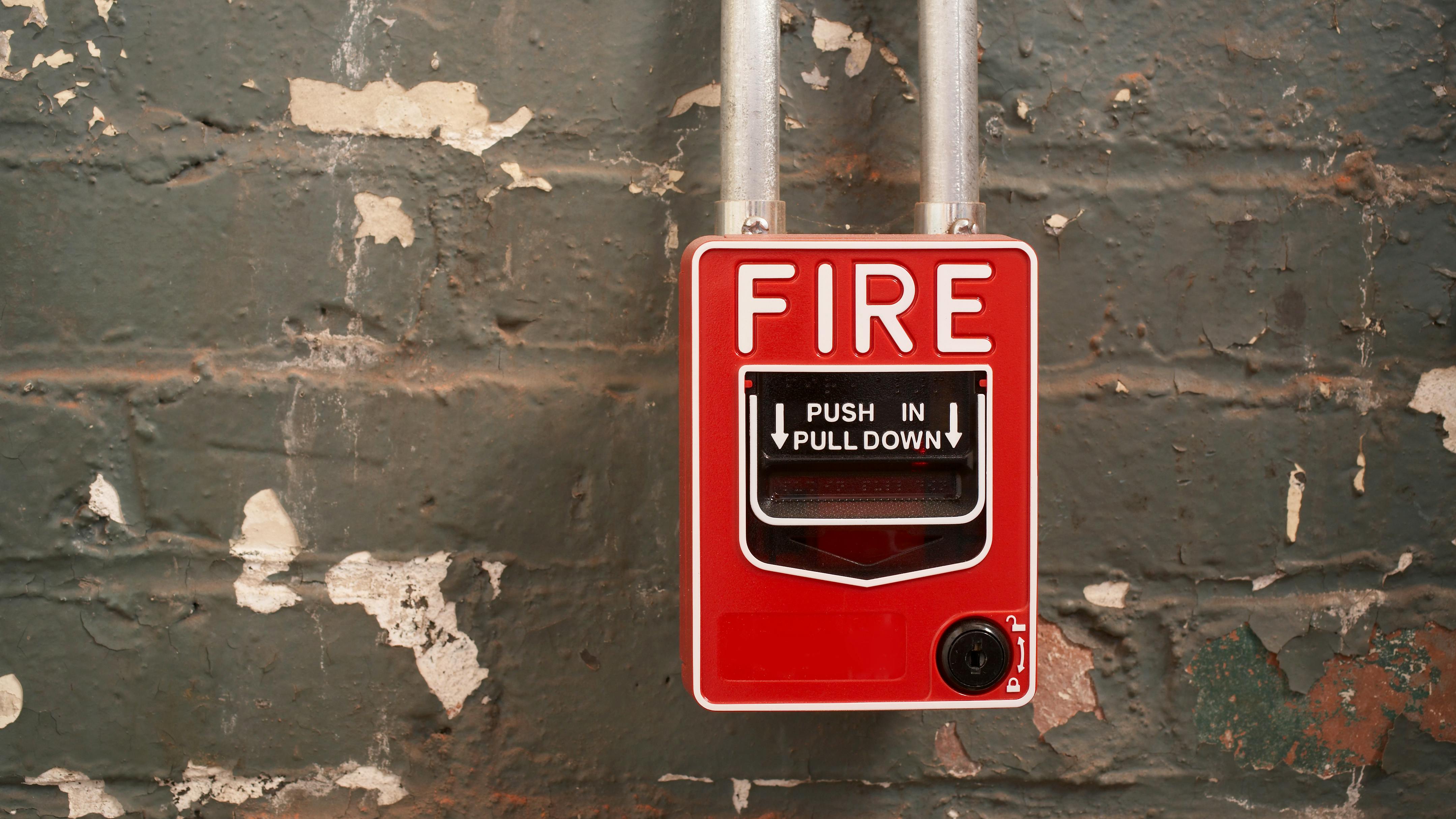 671bb300d8483b45bf8cb016 Dreamstime Xxl 8293979