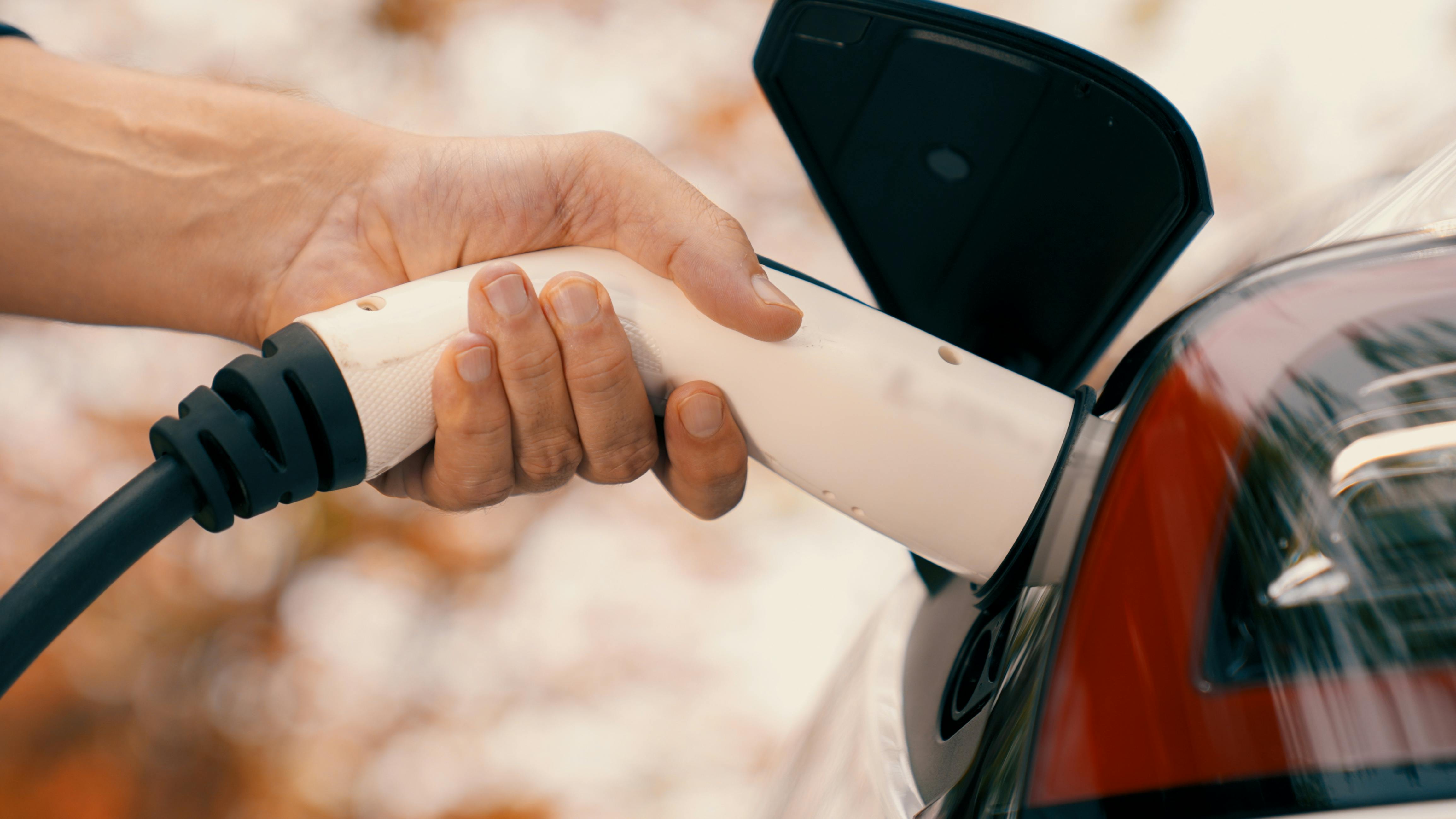 6723932cc9f7ff84b18e9e0e Dreamstime Xxl 332181761