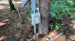 Moving Violations Video No