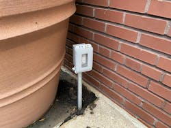 A great flamingo imitation A great flamingo imitation