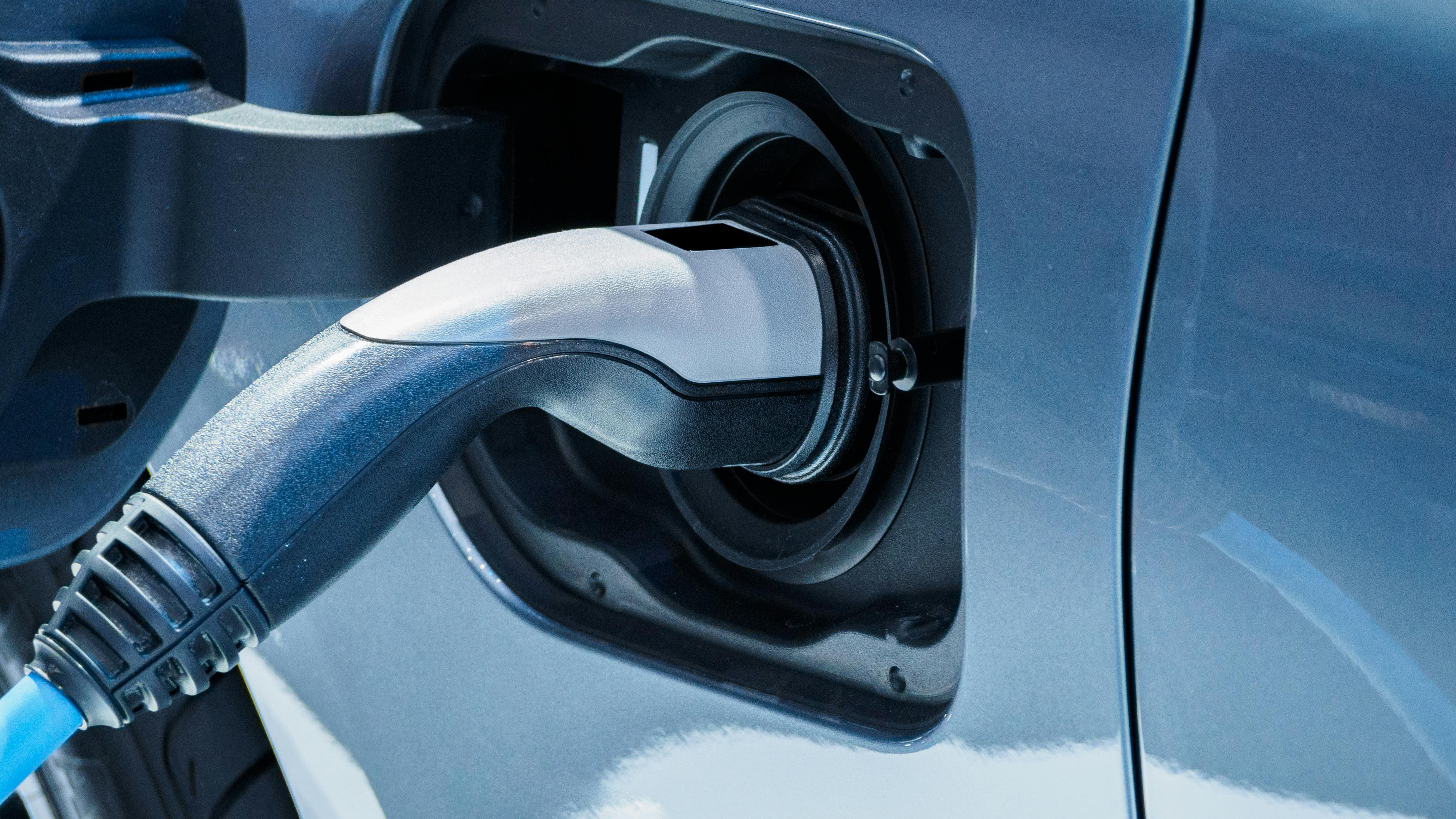 6750b04a5eeead4cd457ff71 Dreamstime Xxl 116265799