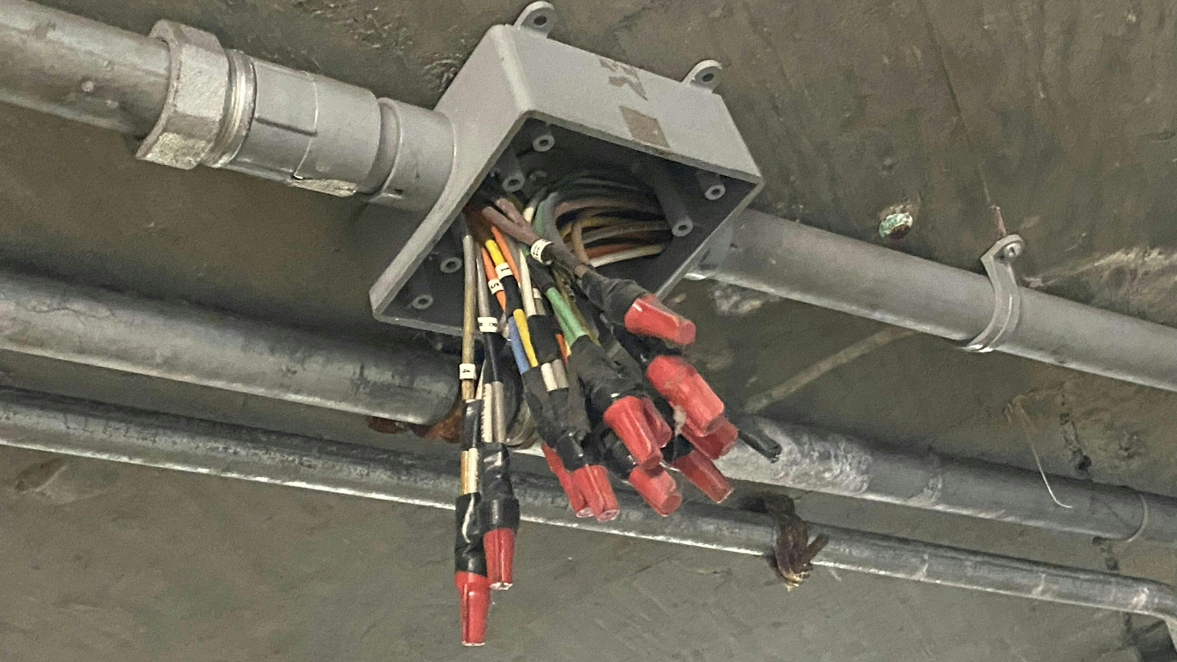 6761a4ec17e4da4300f36411 664f5aeea9ea9c7c3fef81ccapril Wwh