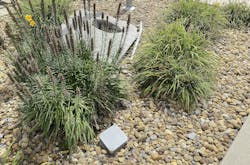 A not-so-underground installation A not-so-underground installation