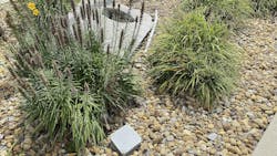 67658da00cf800a7ae411345 Code Watch 2 67658da00cf800a7ae411345 Code Watch 2