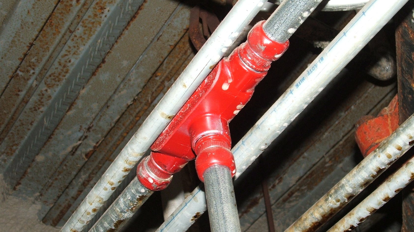 6776e6c680e701ff54d080dc January Wwh