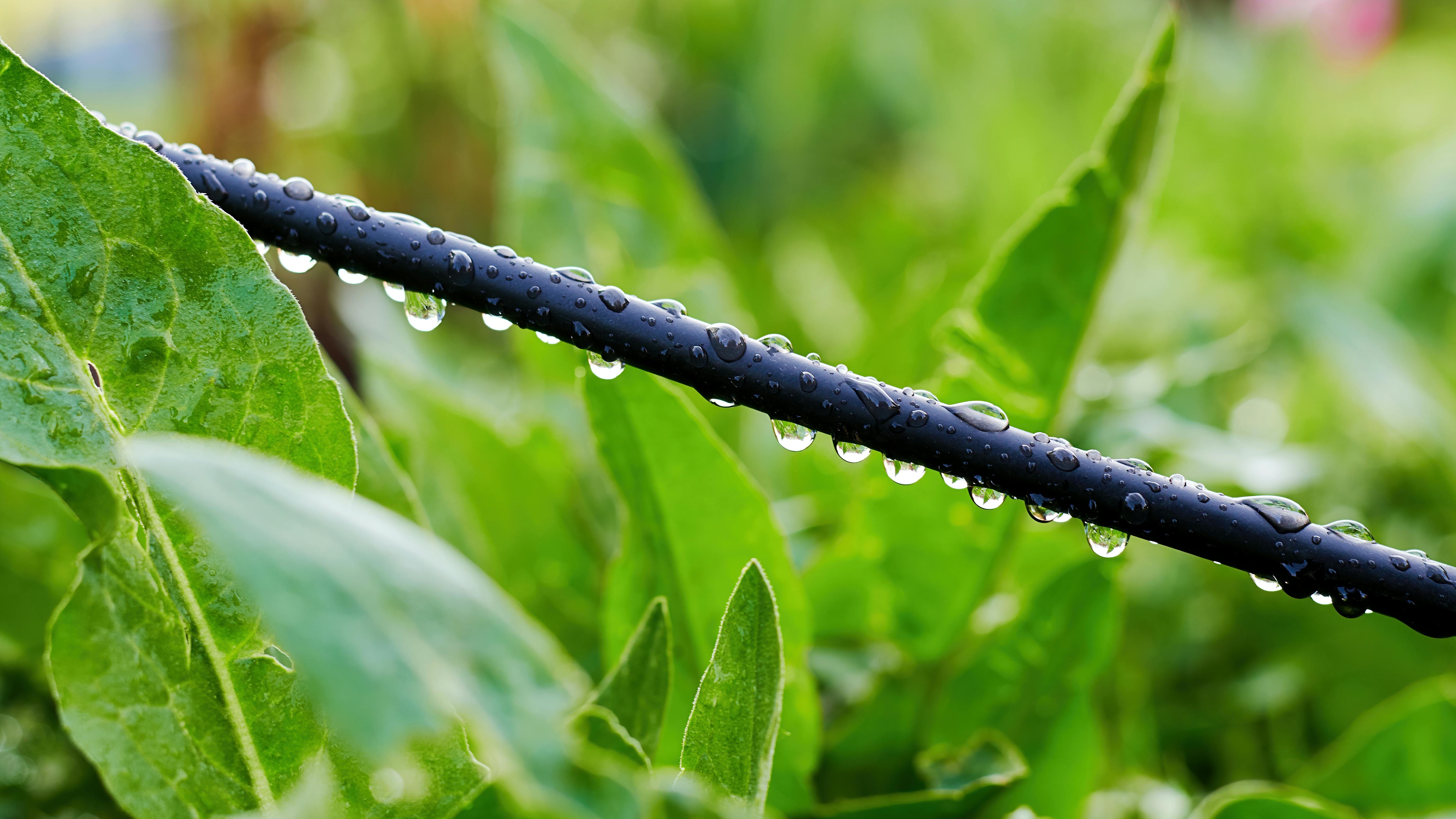 677d4c54dbe43a42440ef529 Dreamstime Xxl 188713012