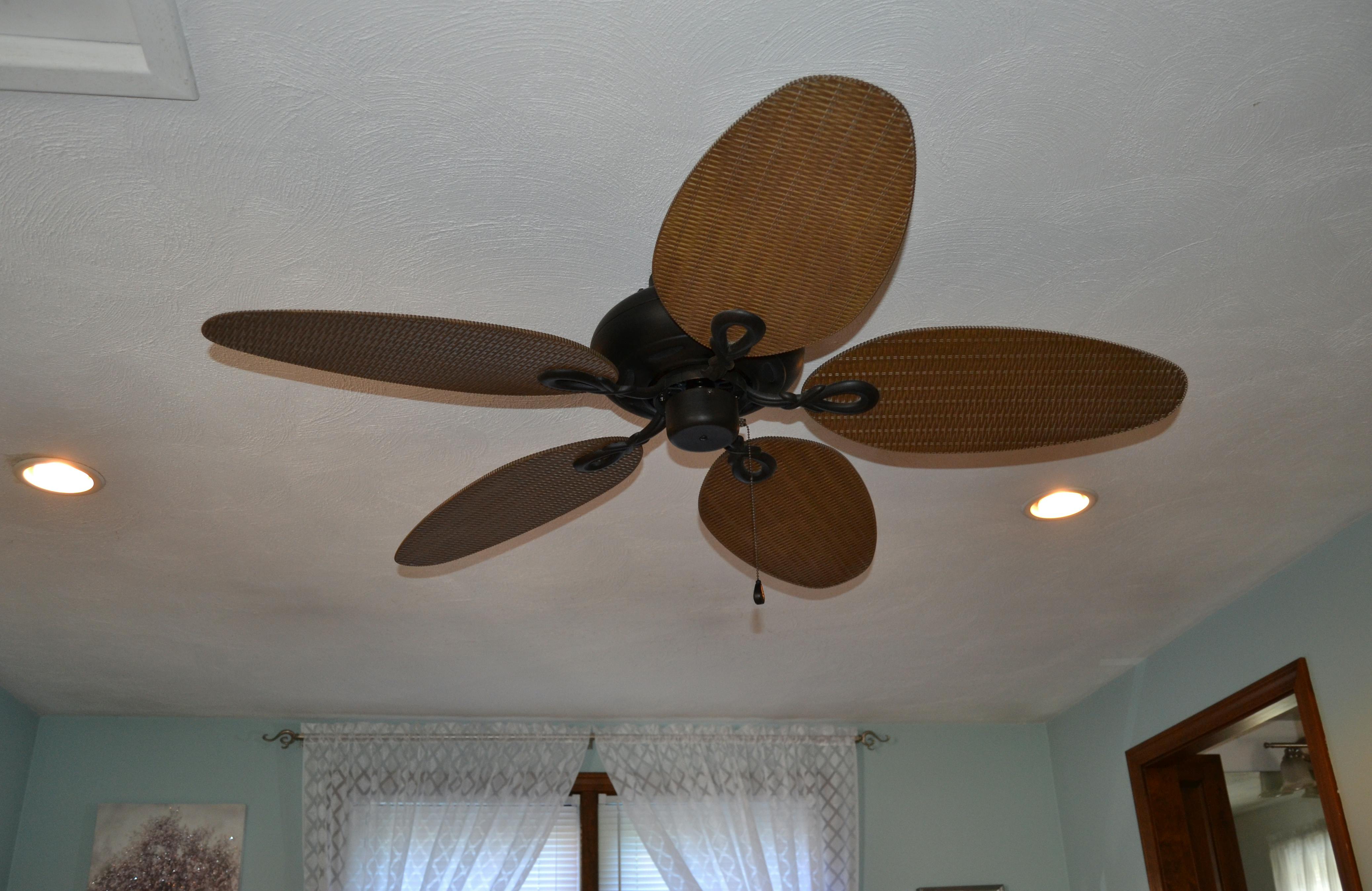 6797aba5bd4a6e2cf9da183e Practically Speaking