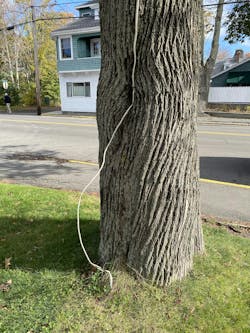 An unfortunate UF cable installation An unfortunate UF cable installation