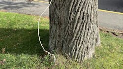 6797b299bbb0fa5fe5ca3fe6 Illustrated Catastrophe 1 6797b299bbb0fa5fe5ca3fe6 Illustrated Catastrophe 1