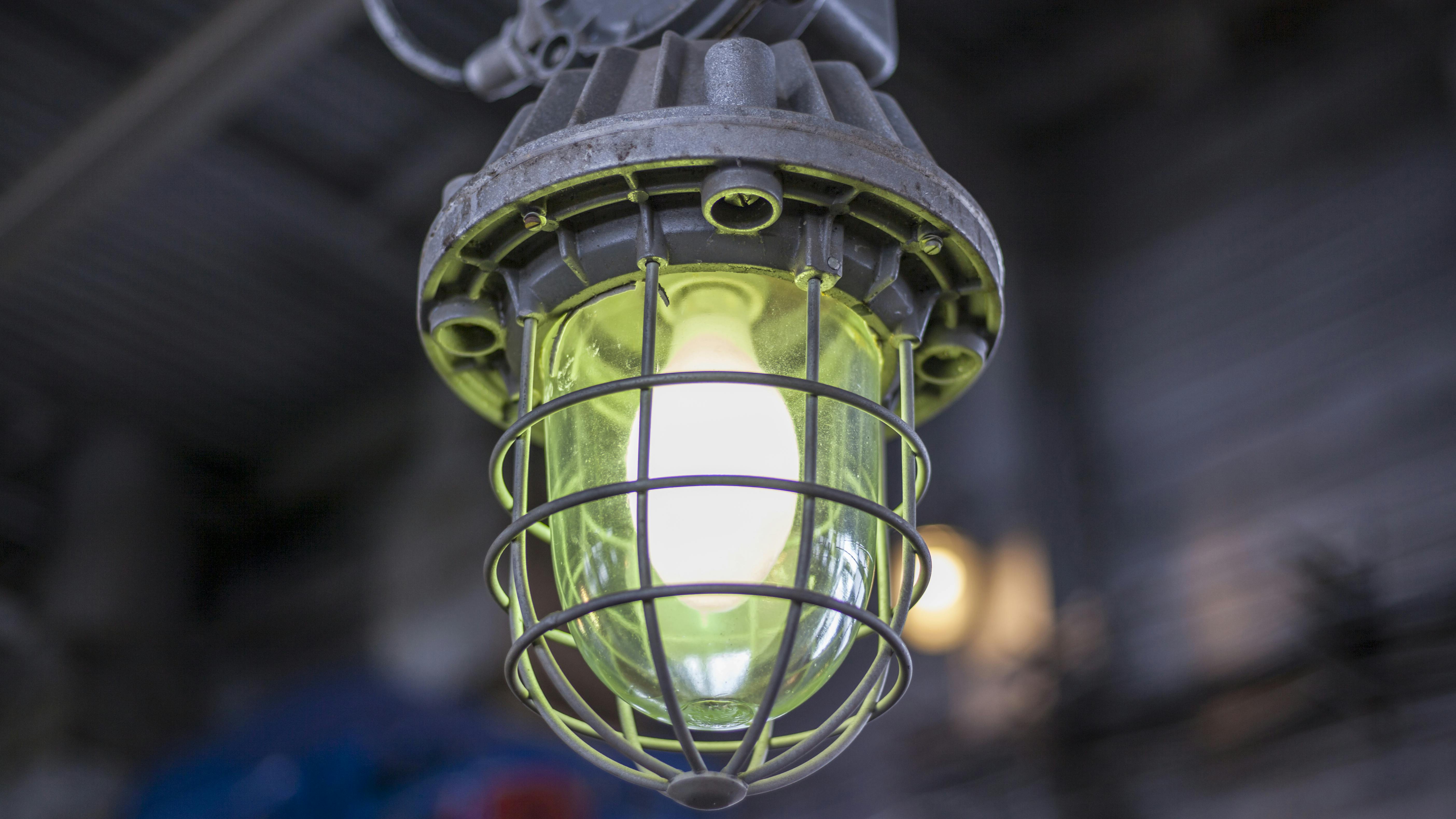 6797f1b14e0ed90188a059bd Dreamstime Xxl 154640237