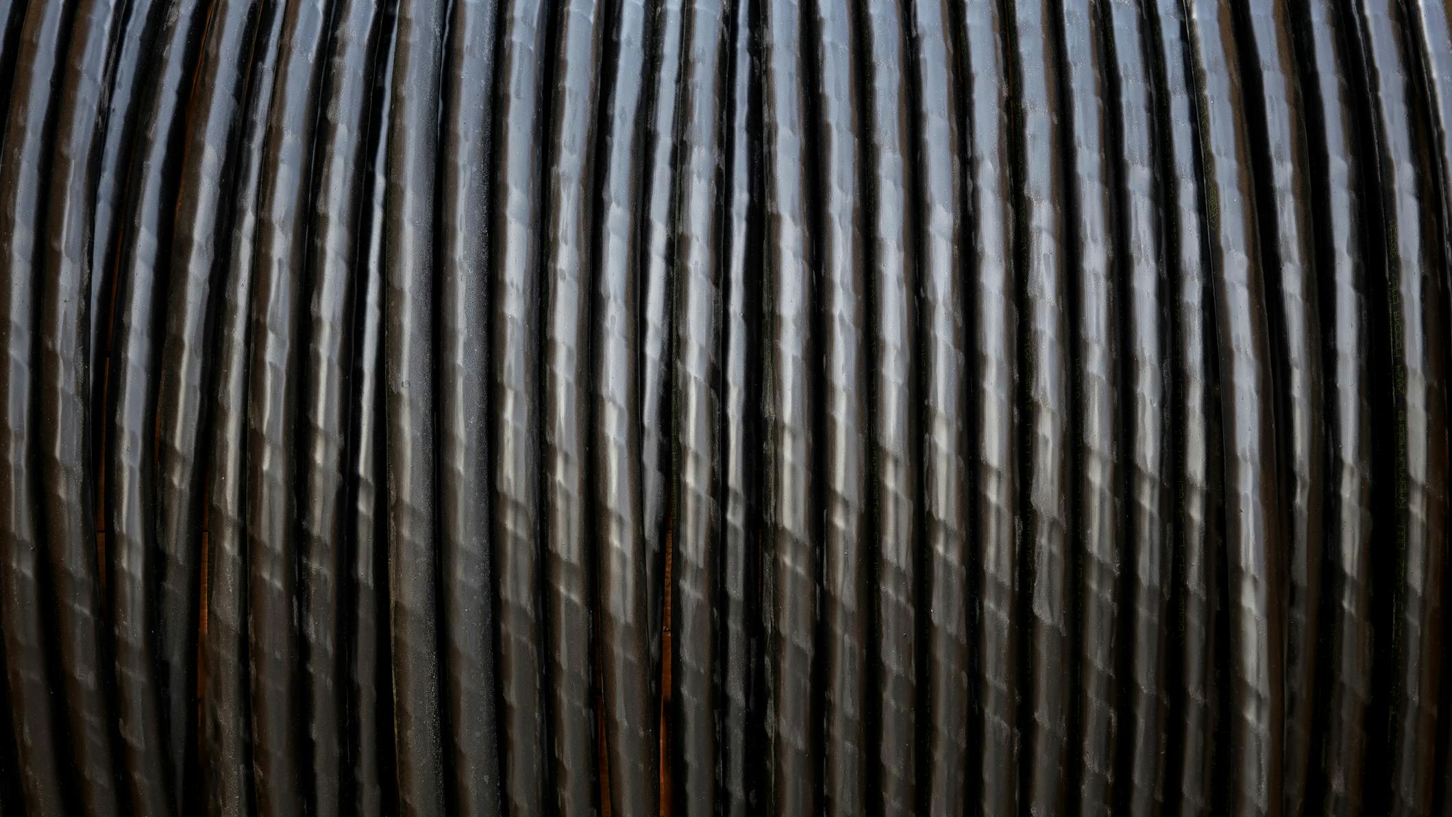 679a6d323331da71b1d23149 Dreamstime M 331957261