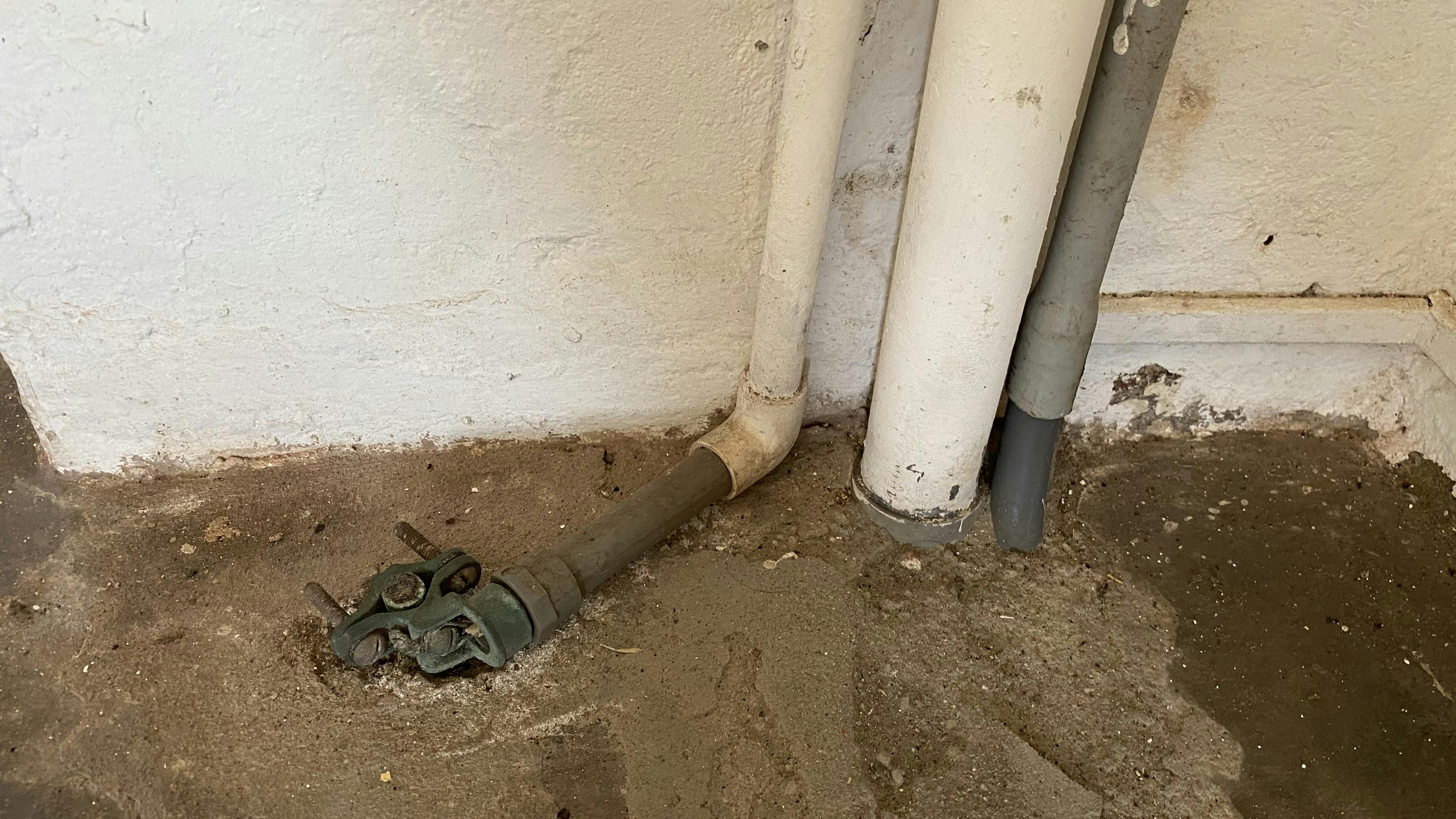 67d1dd97d137def29a6edf8f Wwh Mar 1