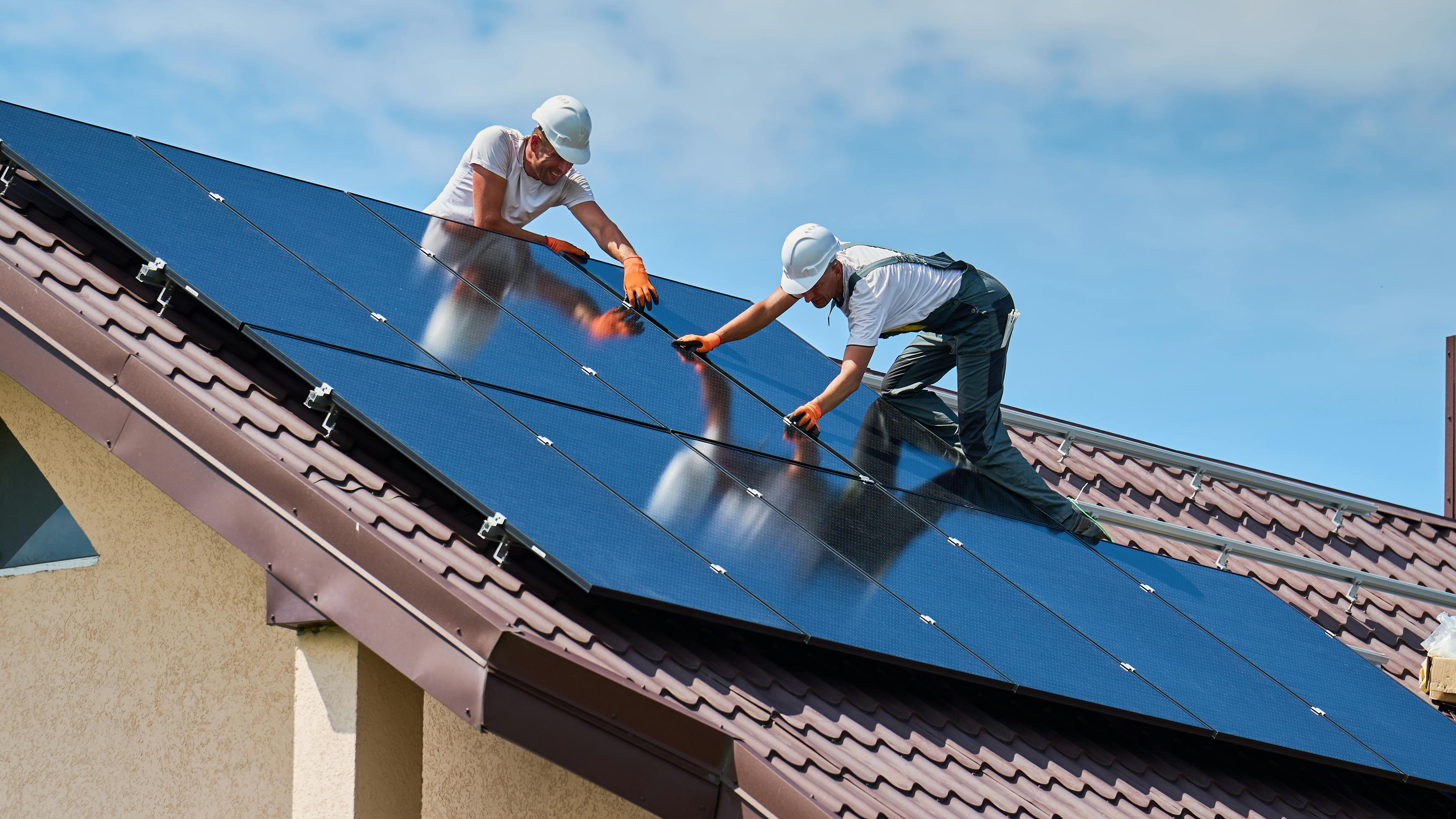 dreamstime_xl_305625523