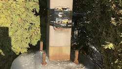 67e1afd74126683abbac3f83 Illustrated Catastrophe 1 67e1afd74126683abbac3f83 Illustrated Catastrophe 1