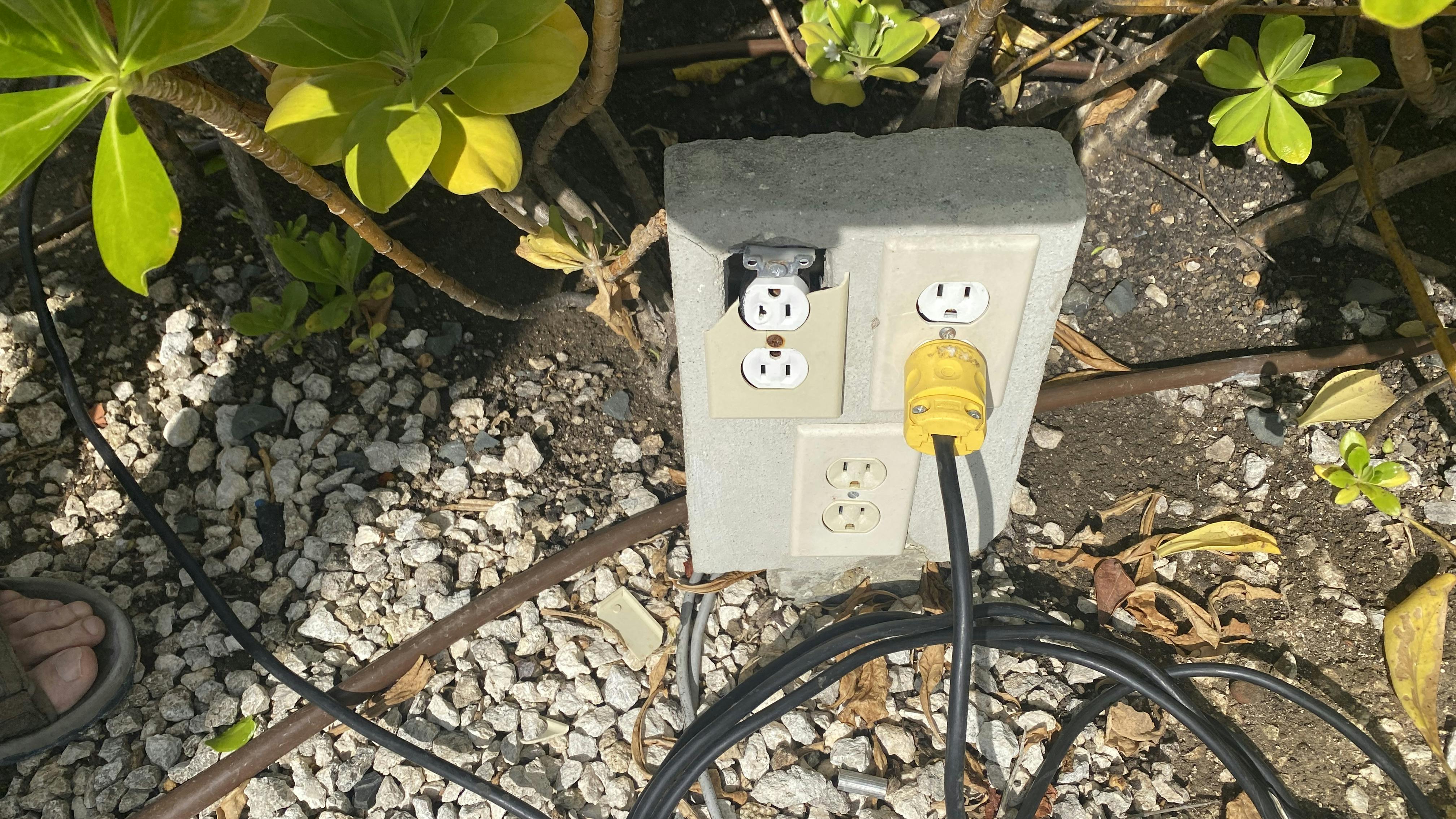 67e40ca6e6409b3dbd5eeedb April Wwh