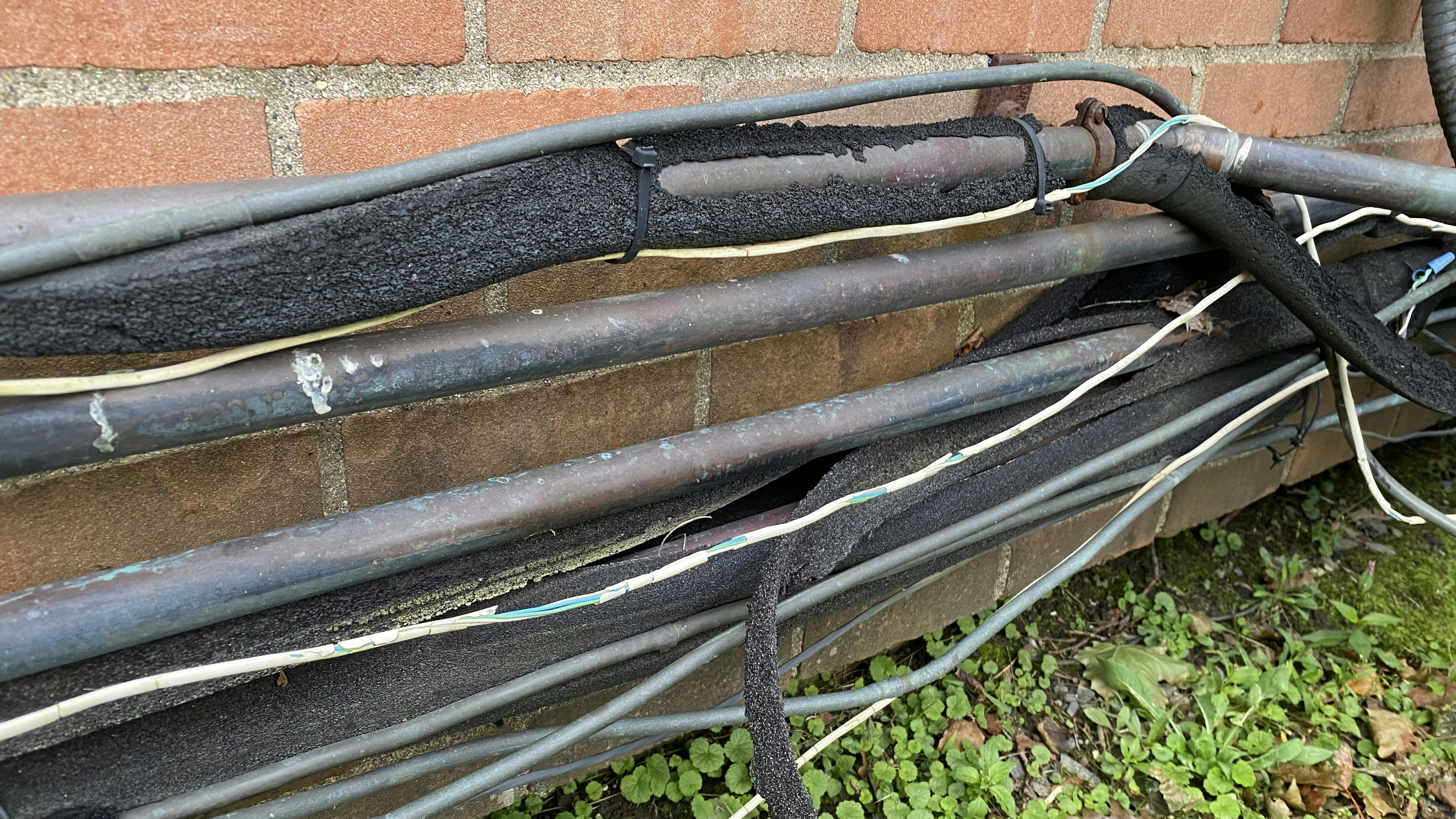 67e448ba54c1d1d3873f631c Wwh Mar 2