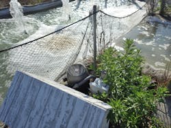 Disastrous disconnect location Disastrous disconnect location