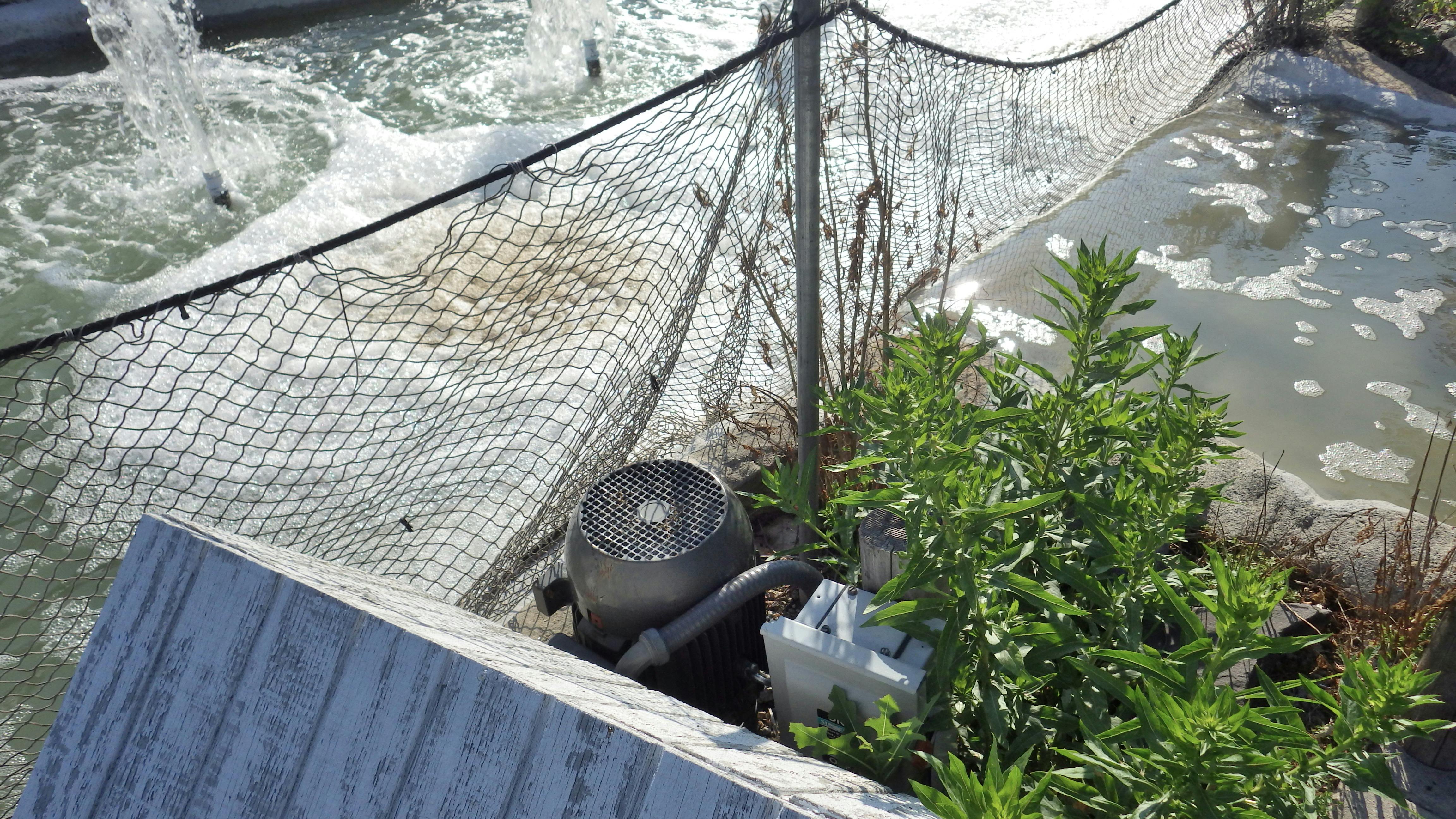 illustrated_catastrophe_may25