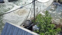 680a5549958120215af0fb41 Illustrated Catastrophe 1 680a5549958120215af0fb41 Illustrated Catastrophe 1