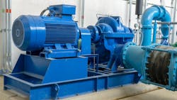 681a174723da5298325f9dc3 Plant Motor 681a174723da5298325f9dc3 Plant Motor