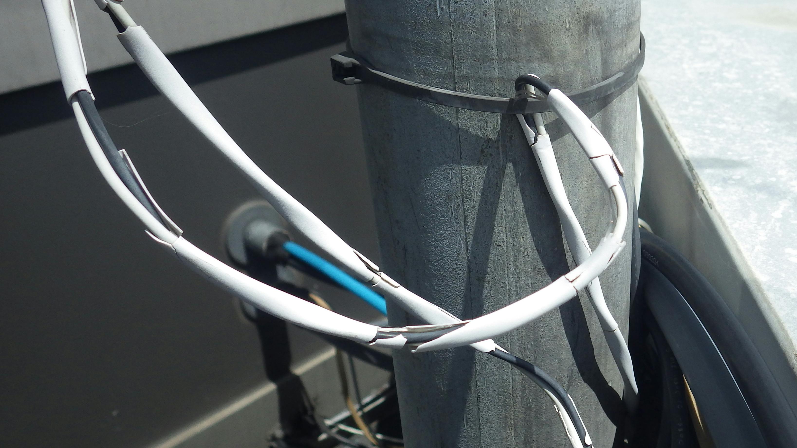 illustrated_catastrophe_june25