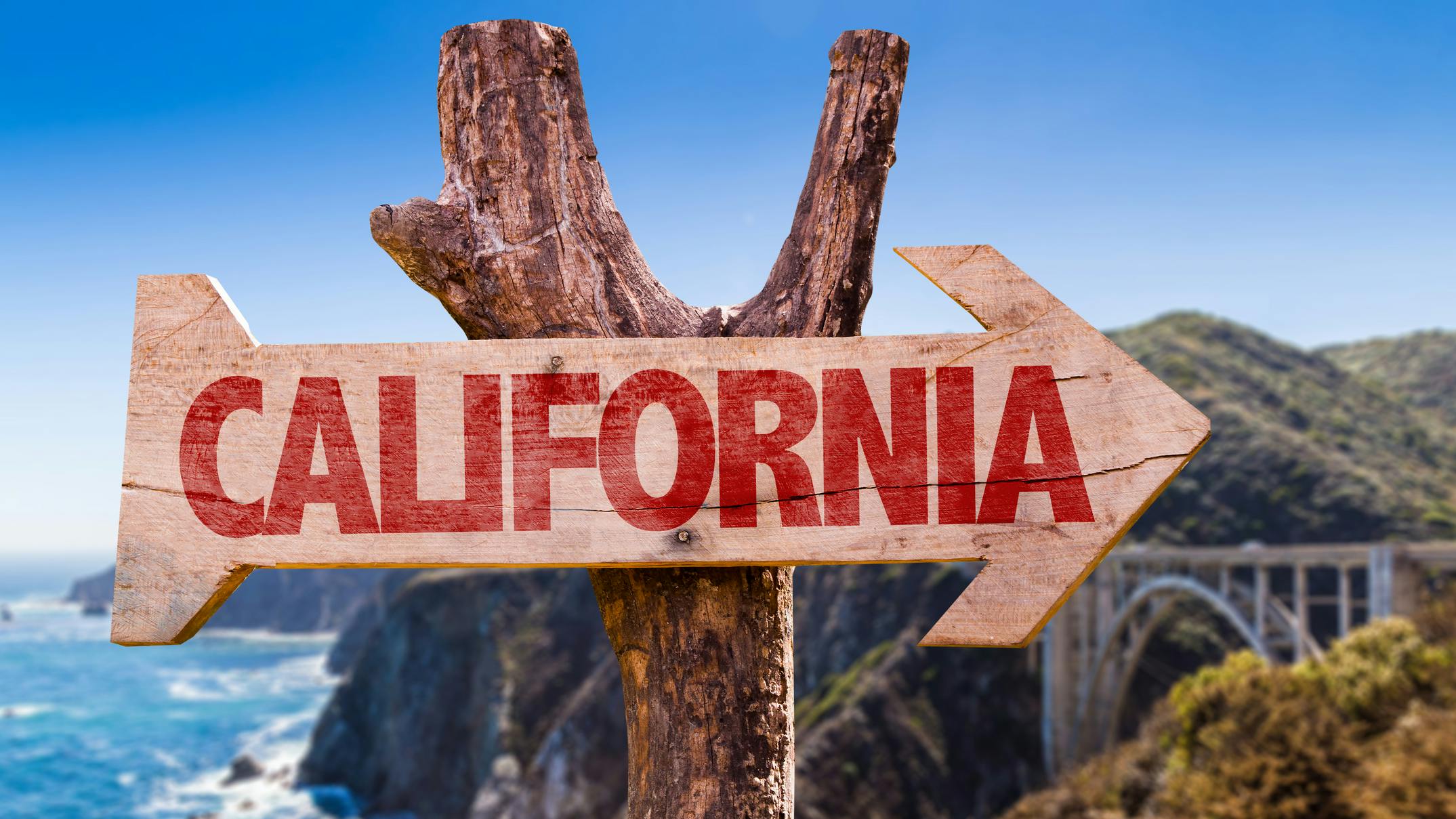 6839e4041d3b654a9108eae4 Dreamstime M 55158536