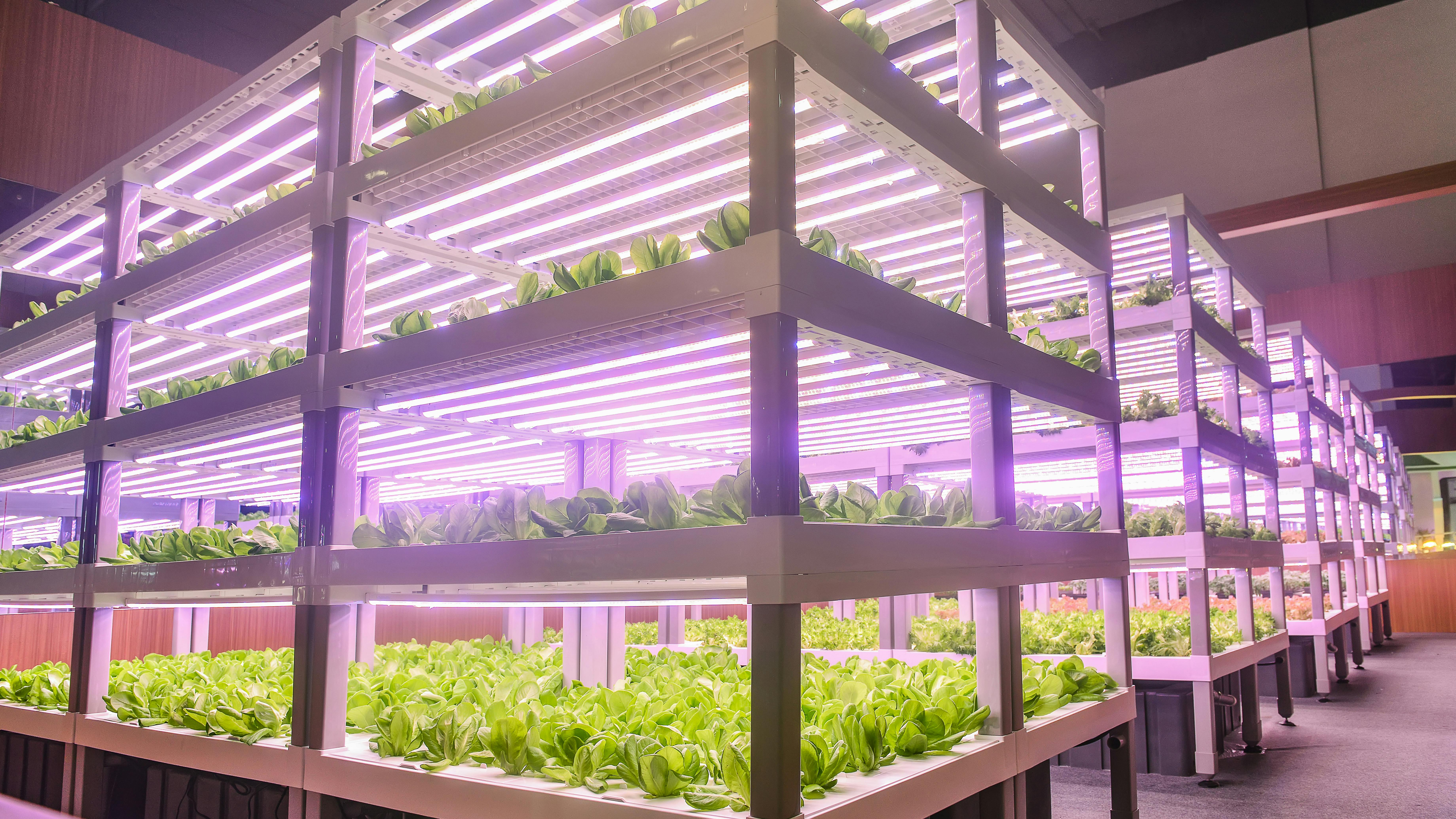 686598a8ca2bb77a64cf7eed Dreamstime Xxl 124143913