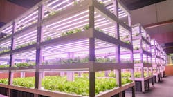 686598a8ca2bb77a64cf7eed Dreamstime Xxl 124143913 686598a8ca2bb77a64cf7eed Dreamstime Xxl 124143913