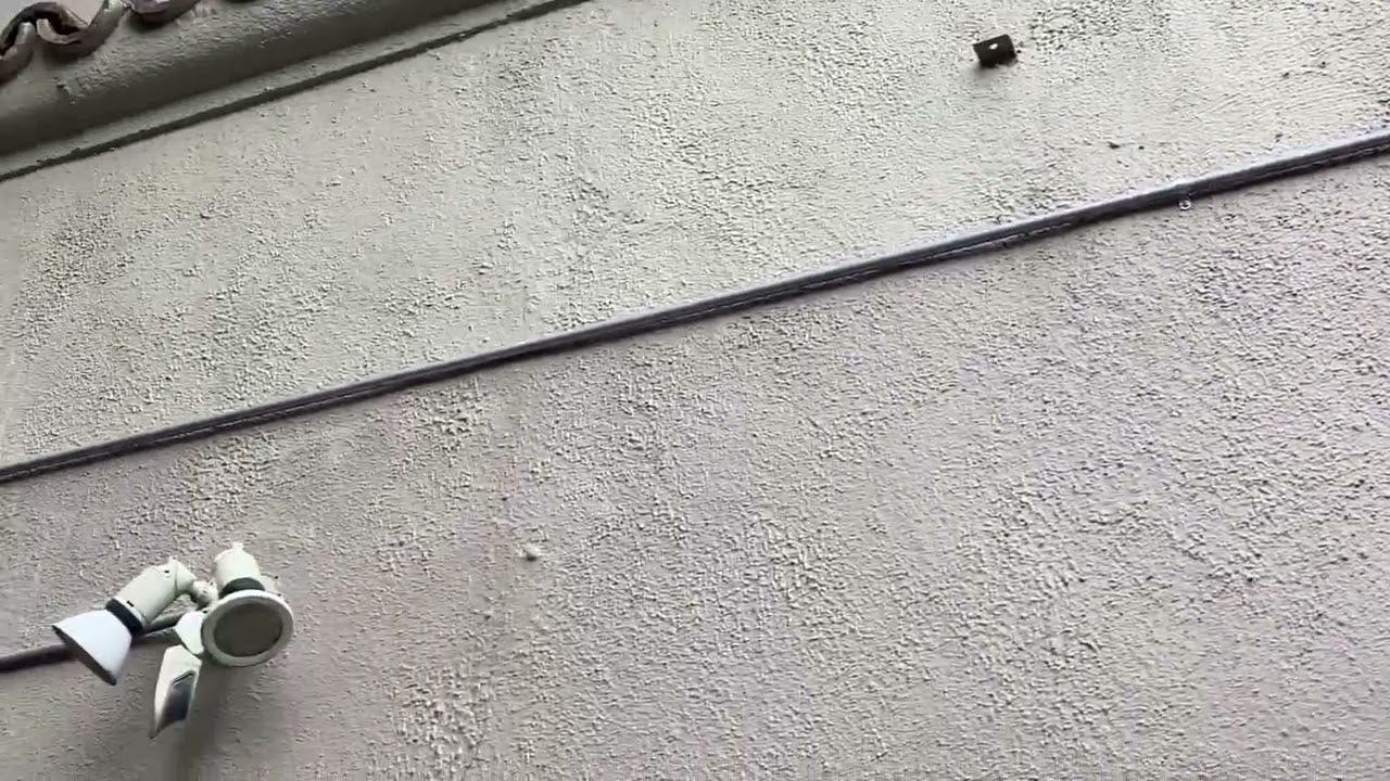 Moving Violations Video No