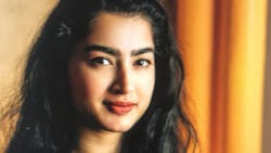 6882422df5c1d1ee29fc922f Shree Image 6882422df5c1d1ee29fc922f Shree Image