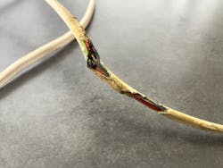 Photo 1. A walkdown of the branch circuit can often identify obvious problems, such as these overheated conductors. Once the fault is isolated, the branch-circuit conductors should be tested for shorts and ground faults to ensure the branch-circuit wiring was not damaged. Photo 1. A walkdown of the branch circuit can often identify obvious problems, such as these overheated conductors. Once the fault is isolated, the branch-circuit conductors should be tested for shorts and ground faults to ensure the branch-circuit wiring was not damaged.