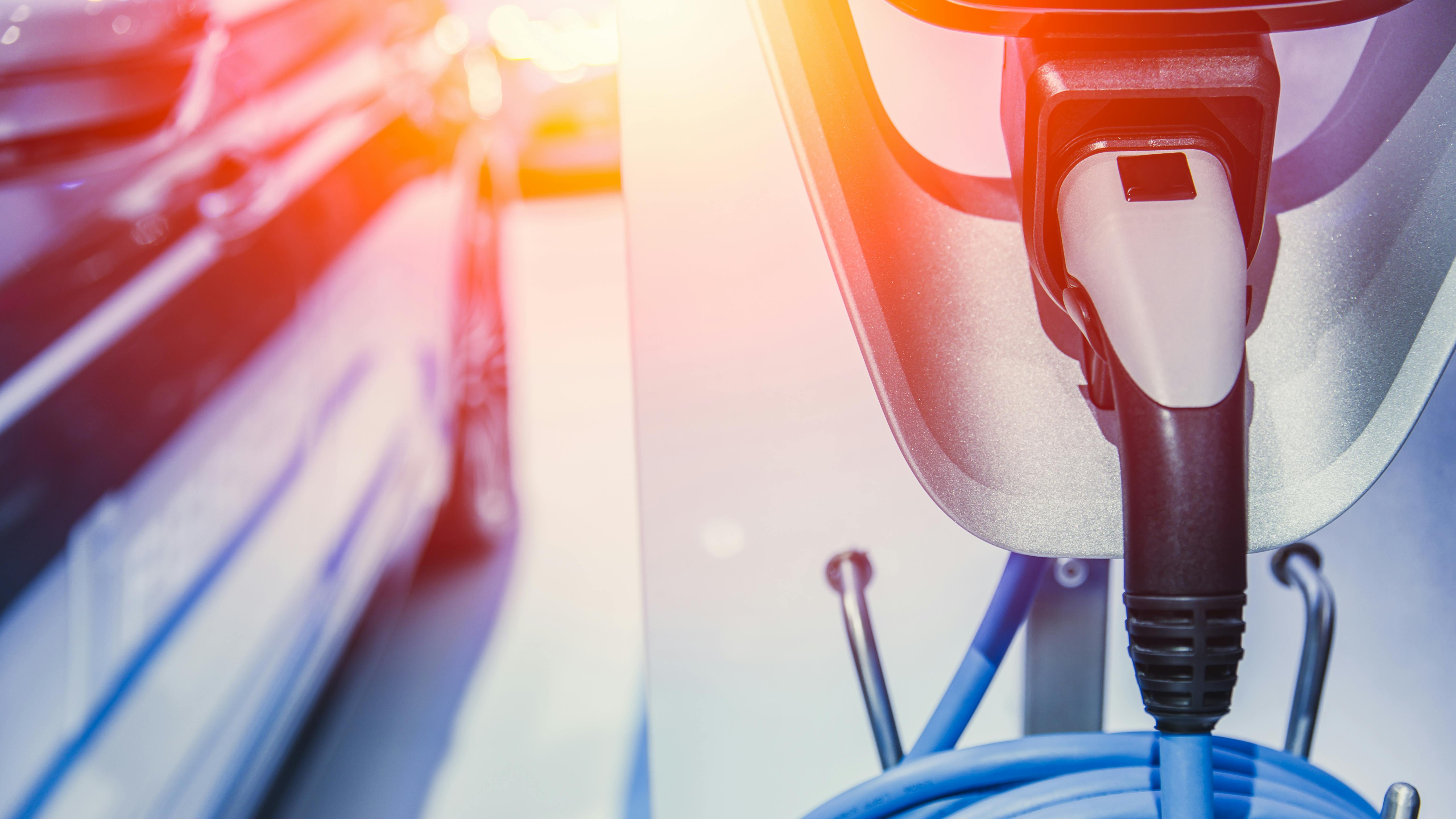 6888ecca76e41879c16286f4 Dreamstime Xxl 115192453