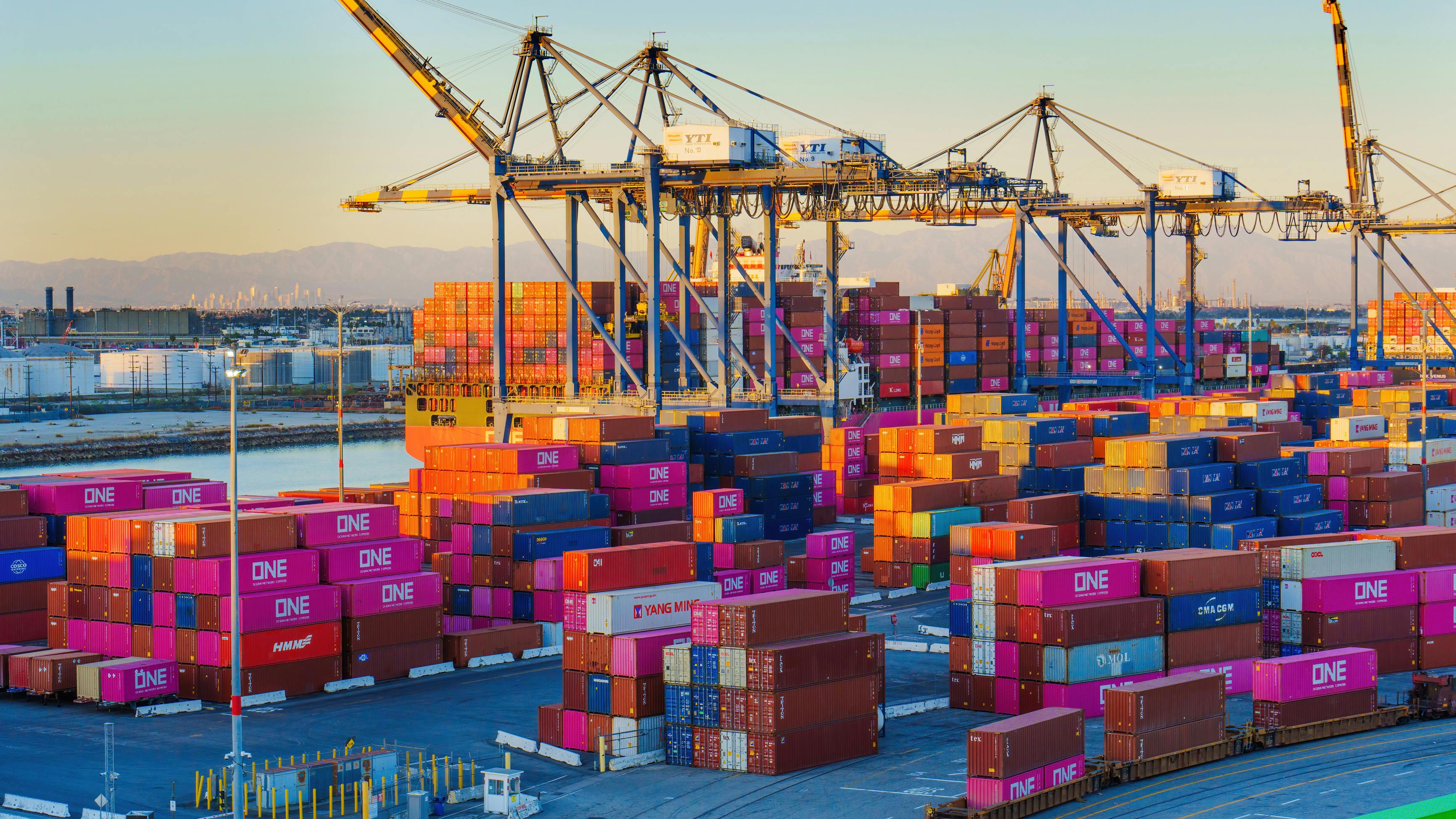 Supply Chain Disruptions