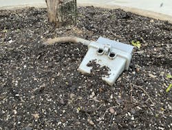 A buried treasure? A buried treasure?