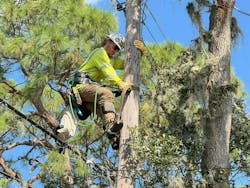 MYR Group provided its largest storm response to date for Hurricane Milton with 373 line workers, mechanics, safety specialists, and other support staff at the peak of the effort after the Category 3 hurricane made landfall on Oct. 9, 2024. MYR Group provided its largest storm response to date for Hurricane Milton with 373 line workers, mechanics, safety specialists, and other support staff at the peak of the effort after the Category 3 hurricane made landfall on Oct. 9, 2024.
