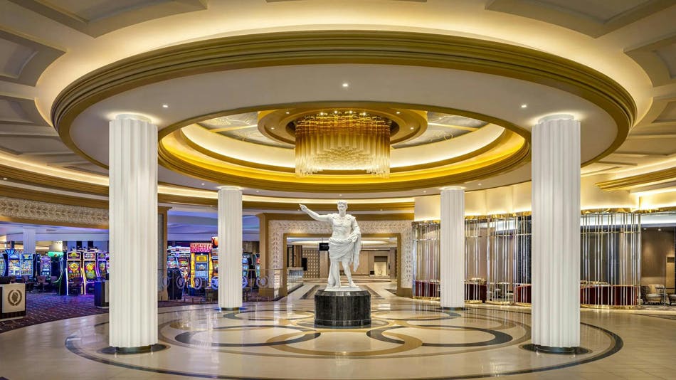 68c341677800ee87f478eaee Gaylor 2